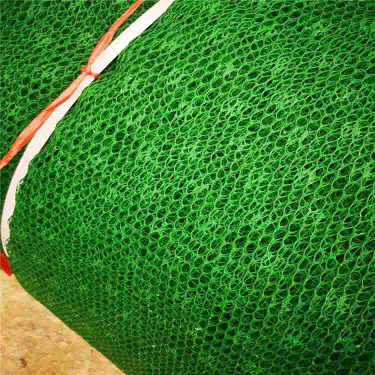 拉萨三维土工网垫-2022资料已更新b(价格)