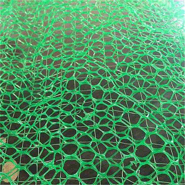 广元三维加筋植草网垫-2022资料已更新A(厂家)