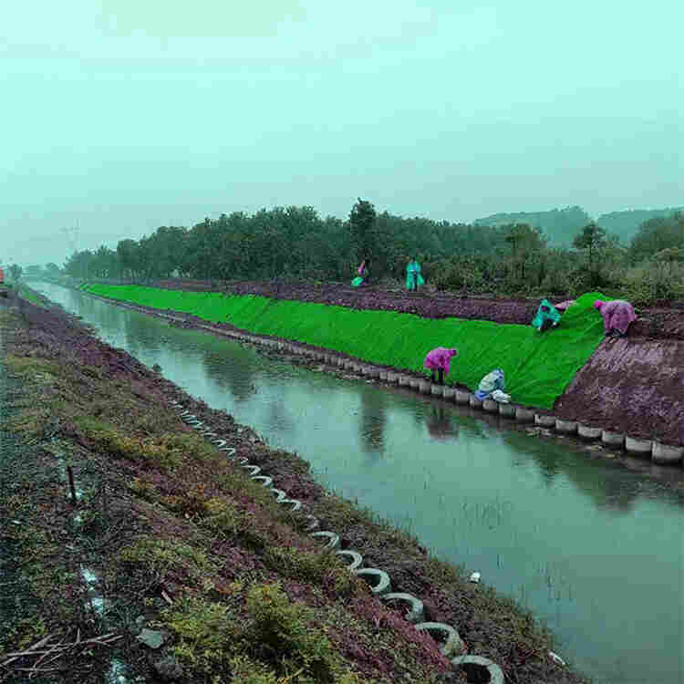 呼伦贝尔三维固土网垫-2022资料已更新A(视频)