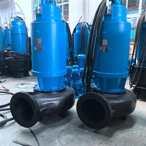 藍深集團WQ800-27-90反沖洗泵-2022已更新(/)