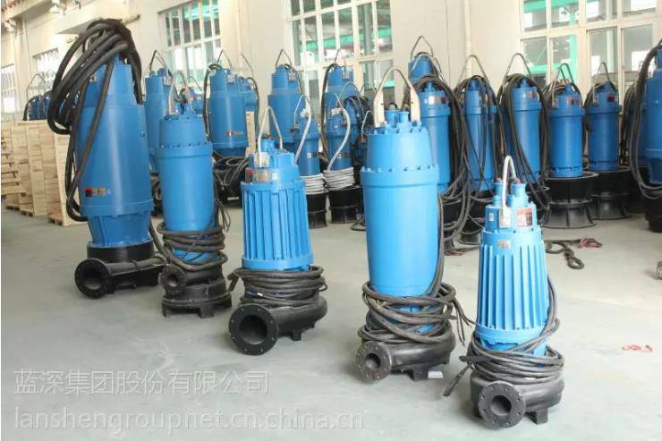 藍深集團股份有限公司WQ1600-10-75提升泵-2022已更新(/)