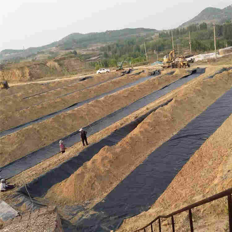 连云港HDPE土工膜资讯-2022已更新