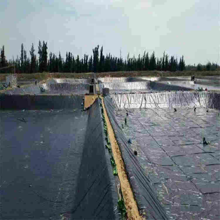 广西防渗膜公司/有卖的-2022已更新