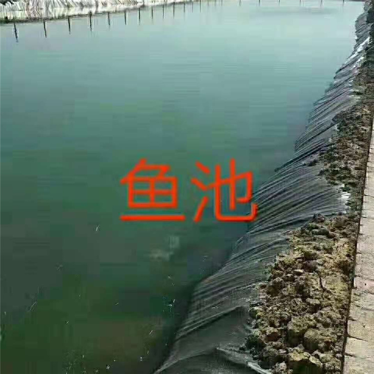 内江黑膜沼气池包施工-2022已更新