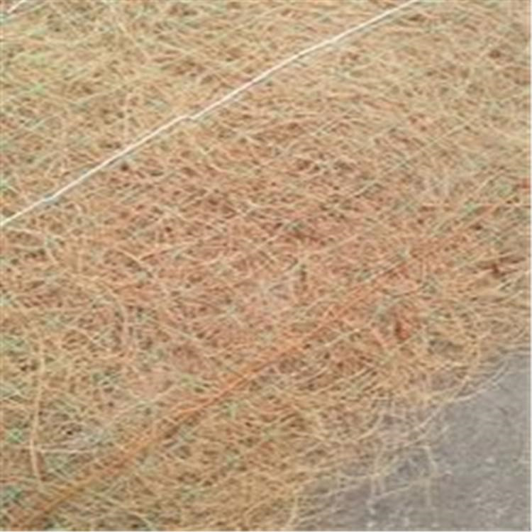 麻椰纤维草毯 永州生态环保草毯 三维防侵蚀防护毯