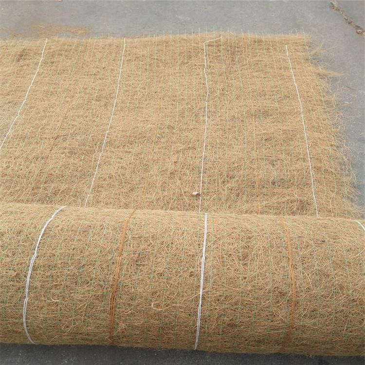椰丝植物纤维毯 武威护坡植被植草毯 护坡绿化草毯