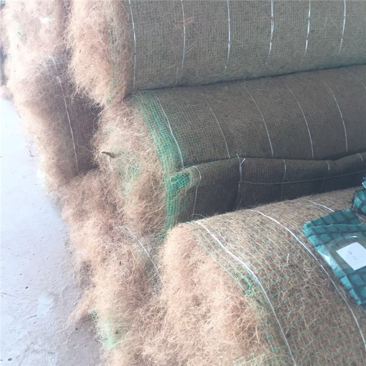 张家口植生椰丝毯 麻椰植被毯 麻椰混合纤维毯-2023已更新