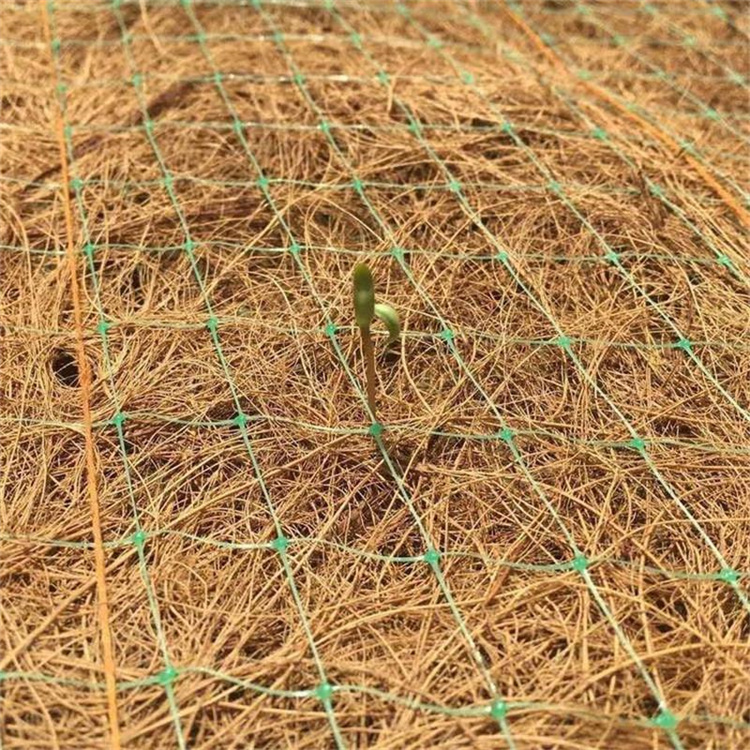椰丝生态护坡毯 拉萨加筋抗冲生物毯 椰丝护坡植被毯