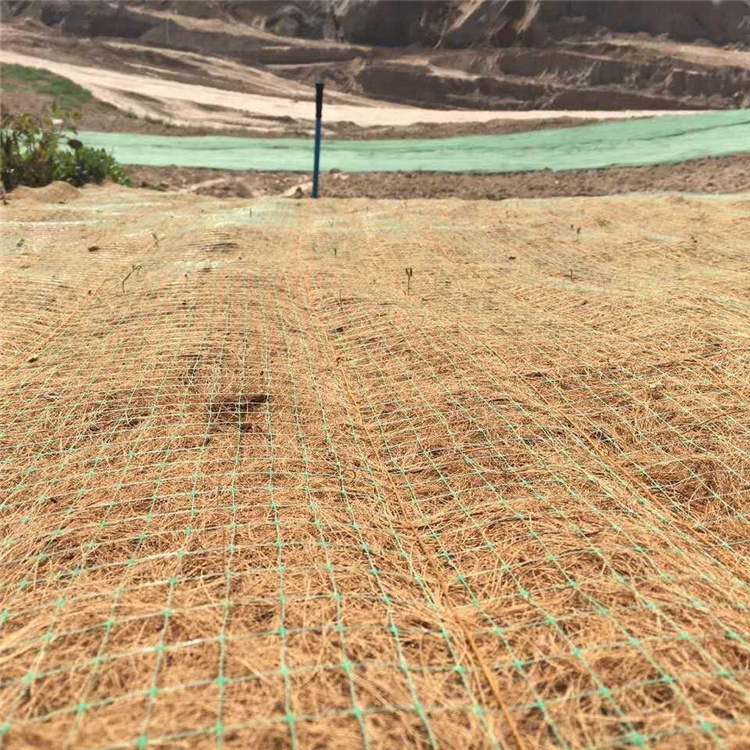 加筋抗冲植草毯 莆田植物纤维毯 稻草植生椰丝毯