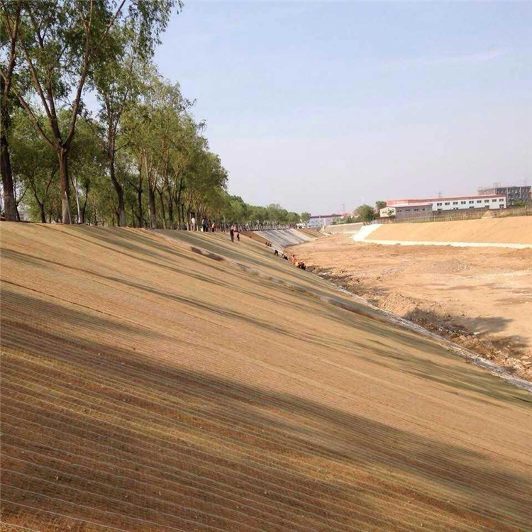 随州植生椰丝毯 麻椰固土垫 生态椰丝草毯-2023已更新