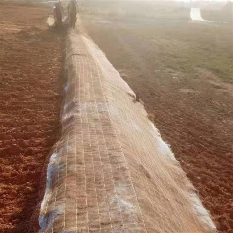 吕梁植物纤维毯 麻椰固土毯 护坡植物纤维毯-2023已更新