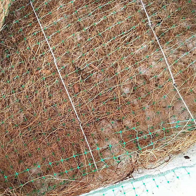 椰丝纤维毯 深圳护坡植被植草毯 护坡生态草毯