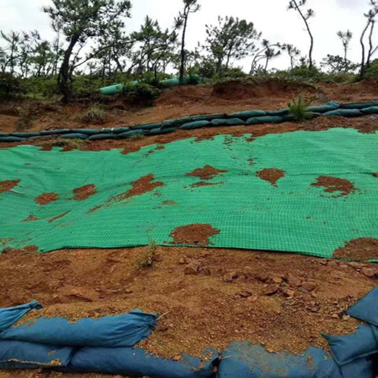 加筋复合抗冲生物毯 贵港生态环保草毯 边坡绿化毯