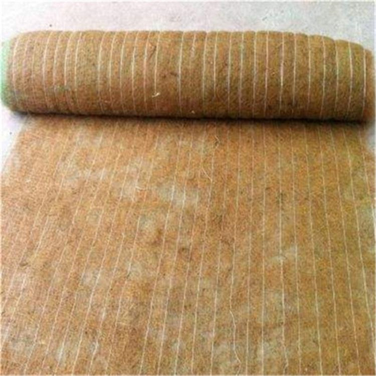 植草纤维毯 东营 椰纤植生毯 保温保湿植草椰丝毯