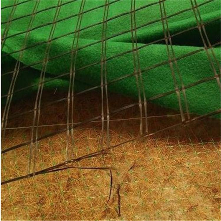 惠州植生椰丝毯 椰纤毯 椰丝生态植物毯-2023已更新