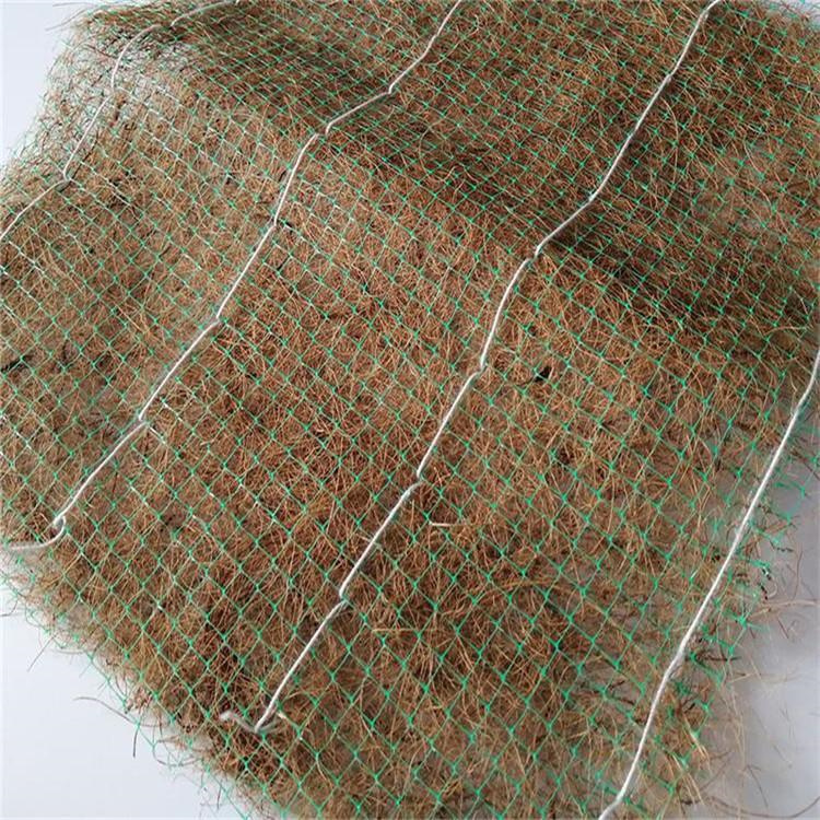 加筋复合植物纤维毯 平顶山生态环保草毯 抗冲植物纤维毯