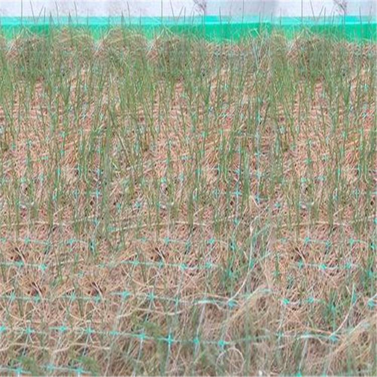 鹤岗植生椰丝毯 可降解抗冲生物毯 边坡植物纤维毯-2023已更新