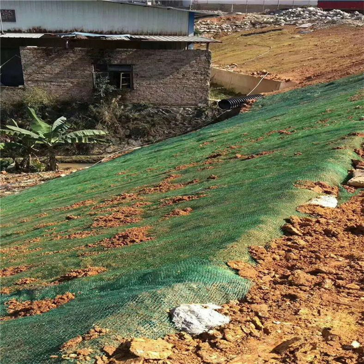 龙岩环保生态草毯-加筋植物纤维毯已更新(/动态)