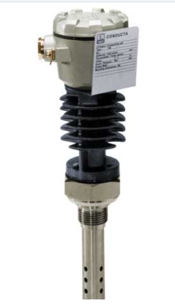 E+H电导率探头CLS13-B1K5A 250℃