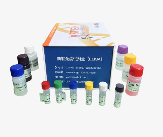 大鼠EB病毒抗体(EBV-Ab)elisa试剂盒