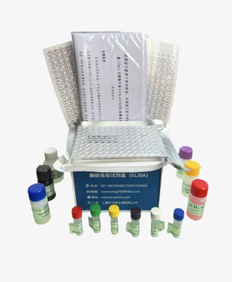 大鼠CXC趋化因子配体10(CXCL10)elisa试剂盒