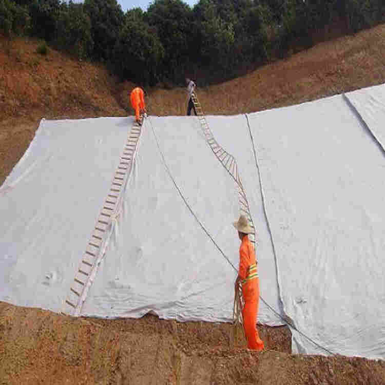 泰州防水土工布一平-2022已更新