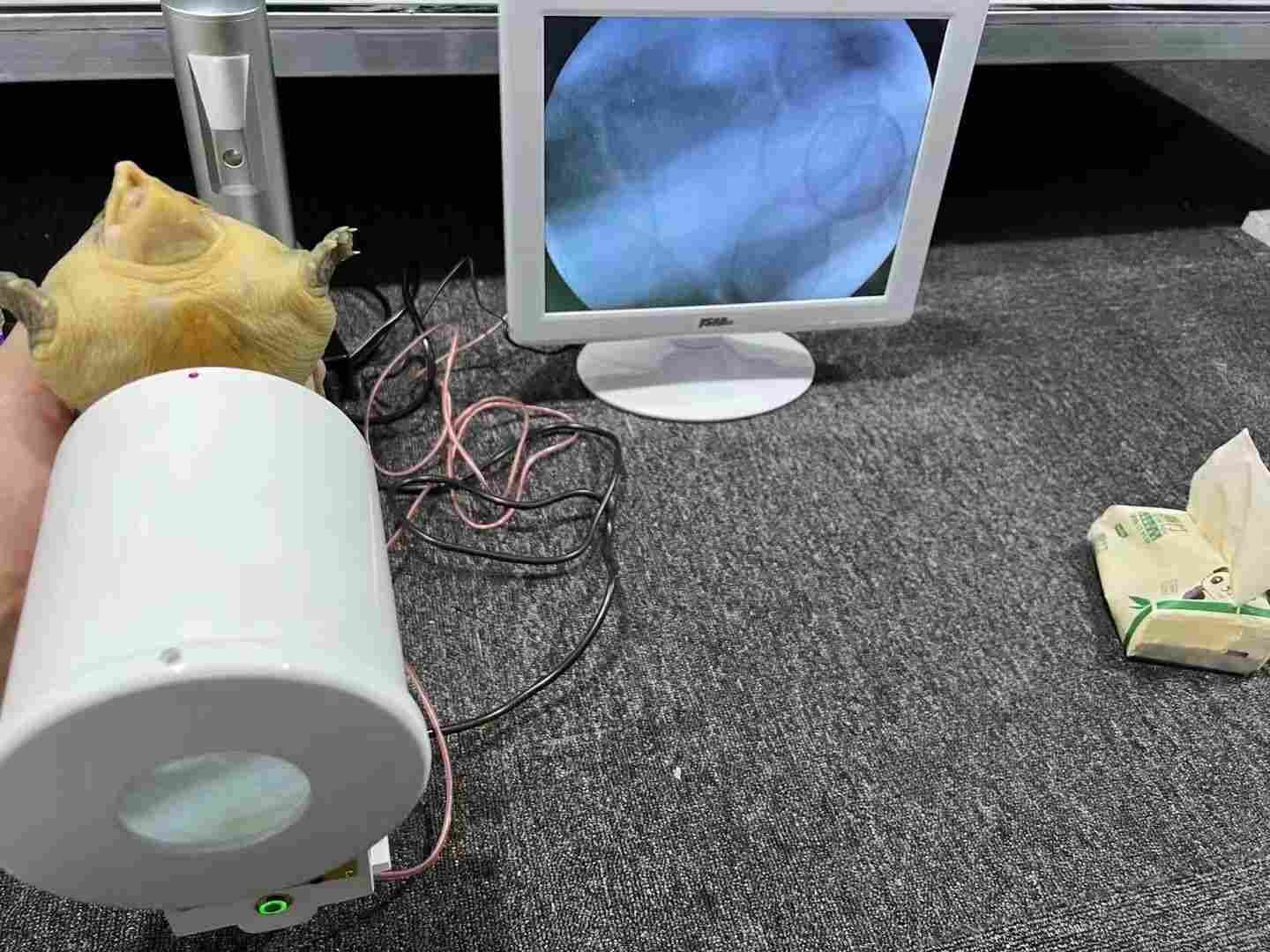 免安装便携式X射线机照龟蛋盲盒操作简单辐射低