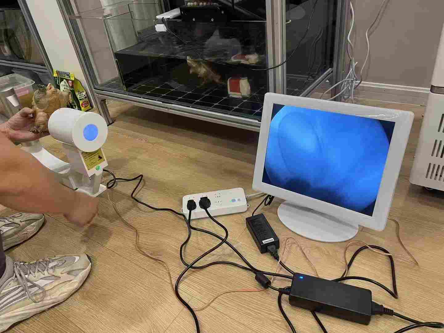 免安装便携式X射线机照龟蛋盲盒操作简单辐射低