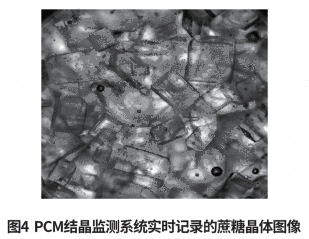 PCM结晶监测系统在印度的全自动釜式蔗糖结晶生产线投入使用