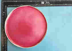 水果盘塑料成分分析