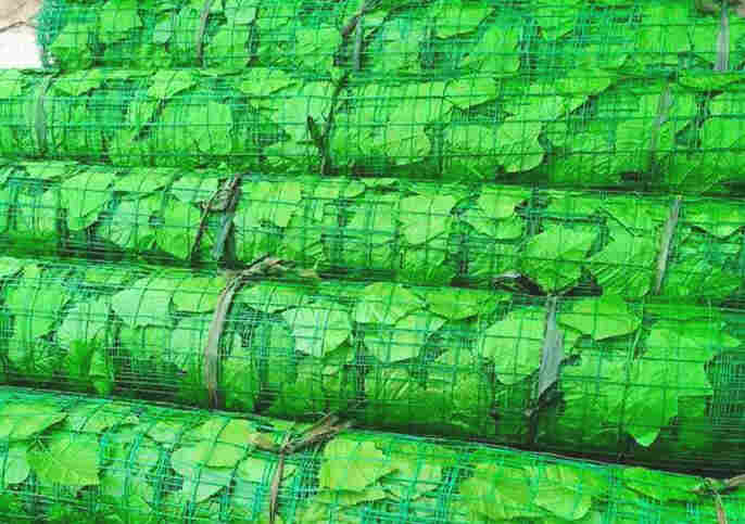 普洱思茅树叶网-绿叶网-2X30爬藤网