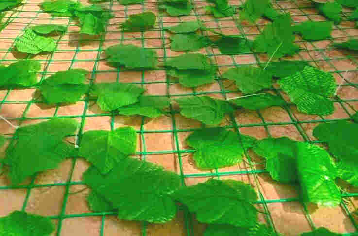 普洱思茅树叶网-绿叶网-2X30爬藤网