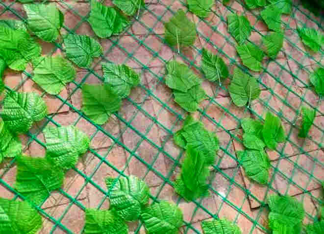 云南曲靖树叶网-绿叶网-2X30爬藤网