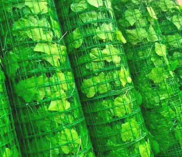 云南玉溪华宁树叶网-绿叶网-2X30爬藤网