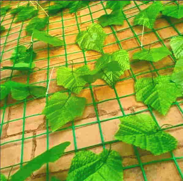 云南玉溪华宁树叶网-绿叶网-2X30爬藤网