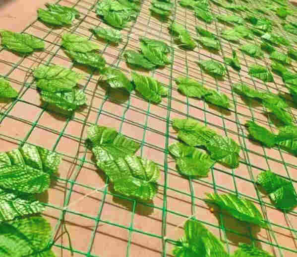 迪庆树叶网-绿叶网-2X30爬藤网