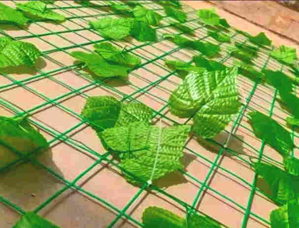 云南西双版纳景洪树叶网-绿叶网-2X30爬藤网