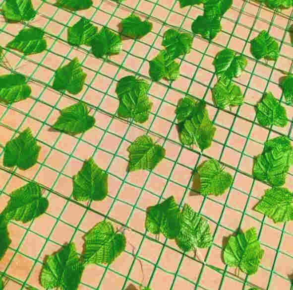 云南玉溪华宁树叶网-绿叶网-2X30爬藤网