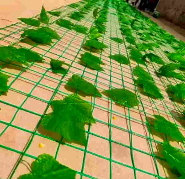 昭通鲁甸树叶网-绿叶网-2X30爬藤网