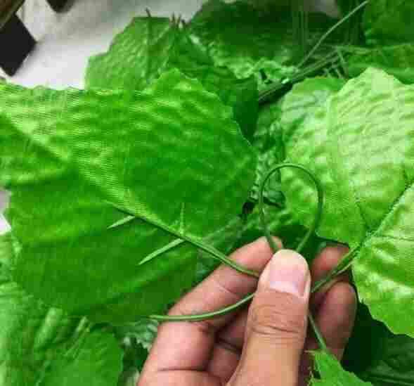 昆明晋宁树叶网-绿叶网-2X30爬藤网