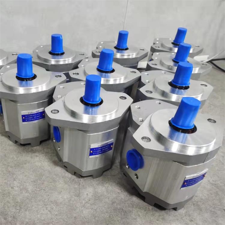 忻州市岢岚县齿轮油泵CBN-F540钢厂设备油泵
