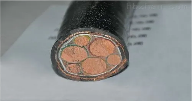 接地铜缆WDZB-RYY 25