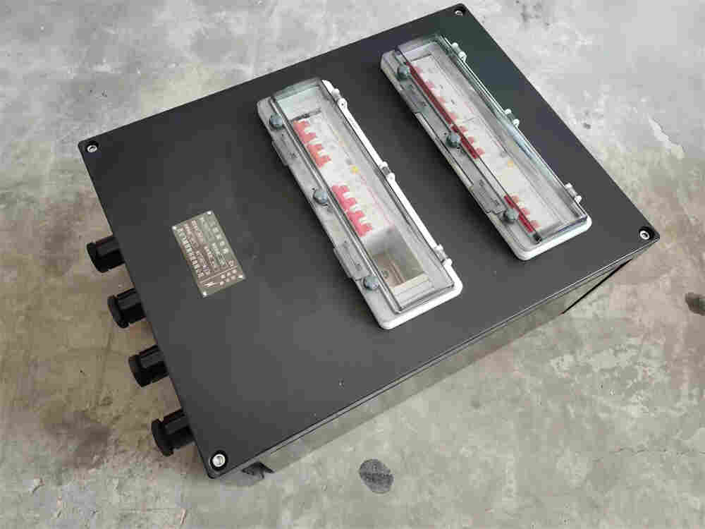 西安飞越8030系列防爆全塑照明(动力)配电箱