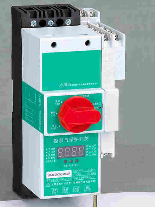 BDCPSD-100 控制与保护开关作用