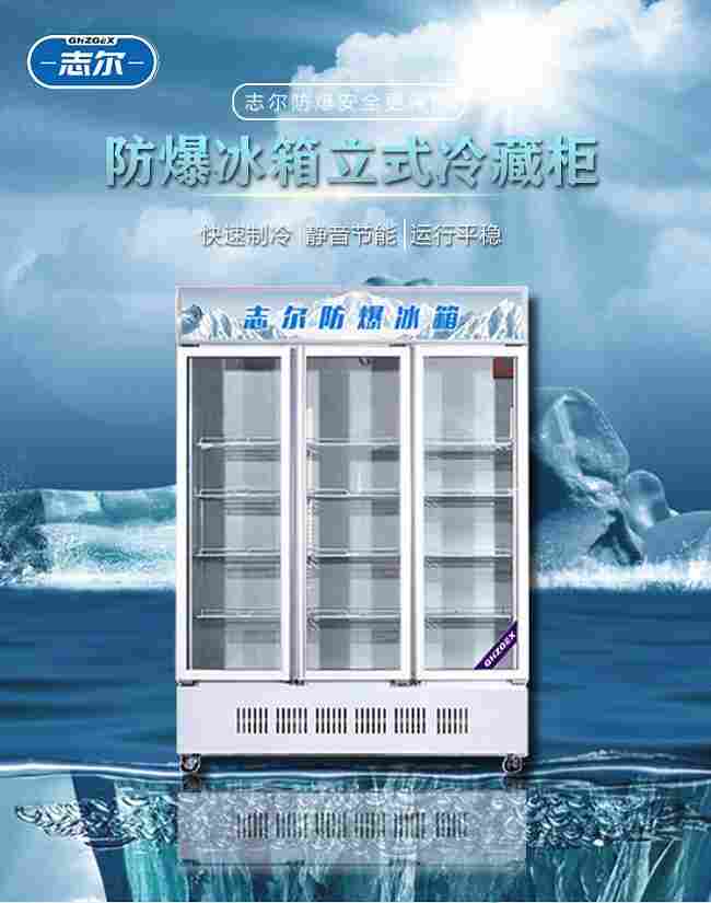 香港海淀厂房用志尔防爆冰箱一台