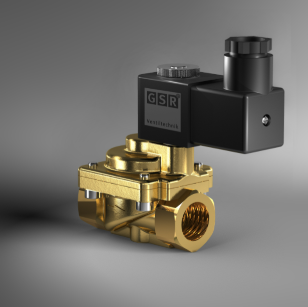 原装进口+质保 GSR 电磁阀 D2406/0501/248-EX 24VDC