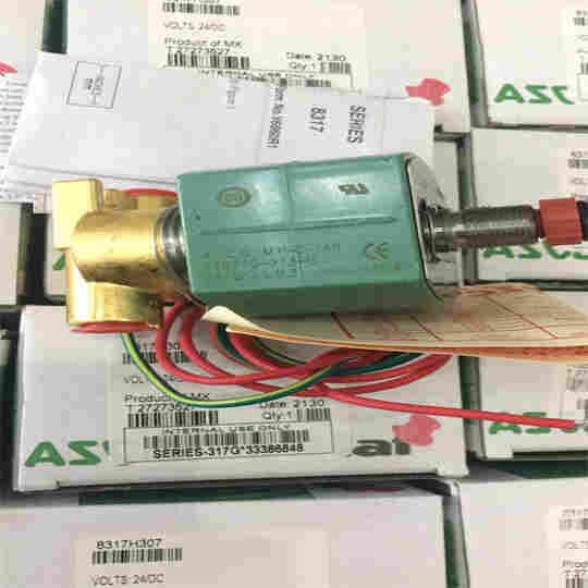 8317H307 24VDC     (4).jpg