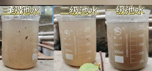 洗车污水有效循环再生回用必遵循的三个处理环节