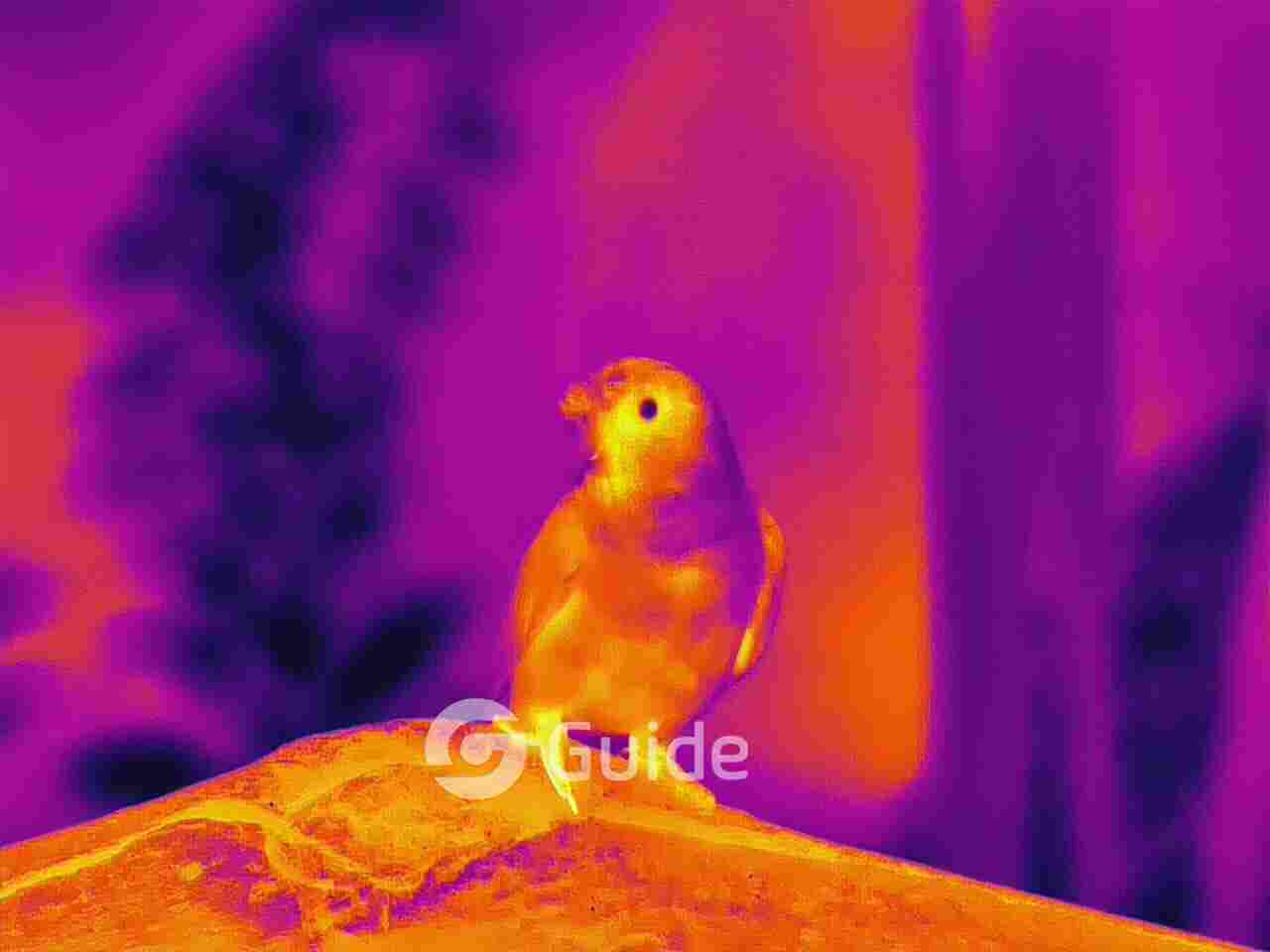 高德智感TN系列荣获“2022年广交会设计创新奖金奖”