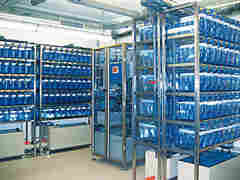 斑马鱼台式饲养系统